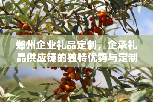 郑州企业礼品定制，企承礼品供应链的独特优势与定制之旅