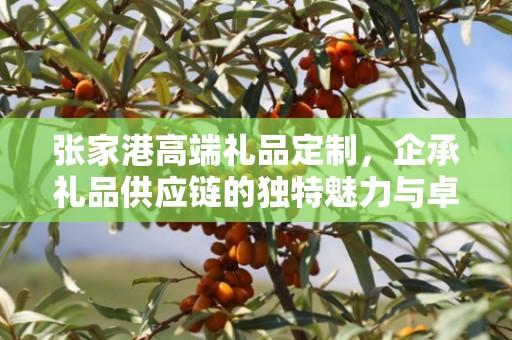 张家港高端礼品定制，企承礼品供应链的独特魅力与卓越服务